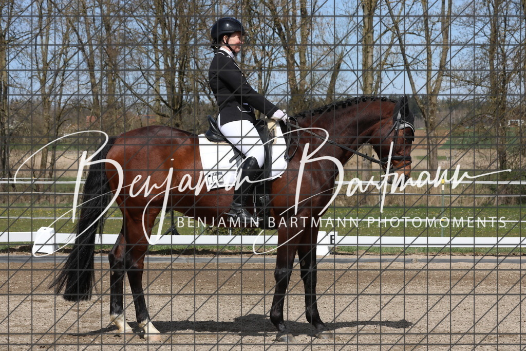 AZ2A3926 | Benjamin Bartmann Photomoments