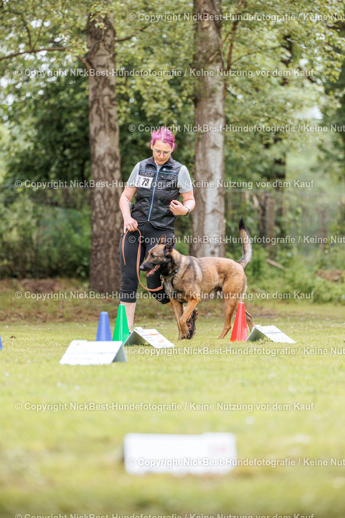 RO-Blumenthal-2026-Nickbest-Hundefotografie-2968 | Dein Hund! Dein Moment! Deine Erinnerungen! Hundefotografie in Bremen Blumenthal. Ich fange die besonderen Momente deines Vierbeiners ein – ob Indoor mit Blitzanlage oder in der freien Natur. Sicher dir dein Moment und dein Termin für eure Erinnerungen.