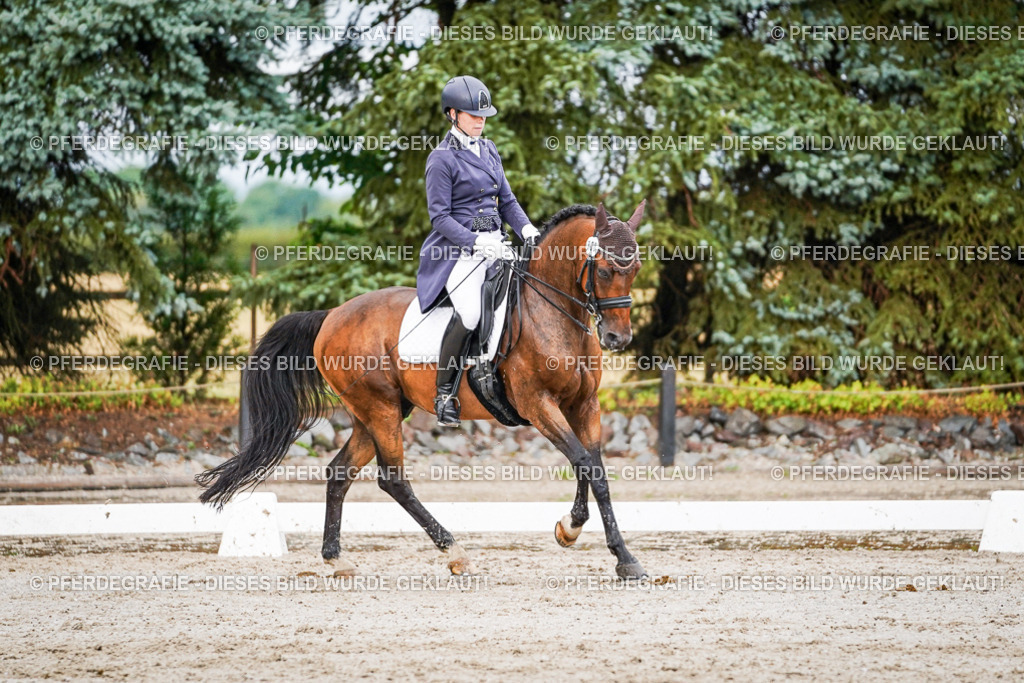 DSC00201 | Pferdegrafie