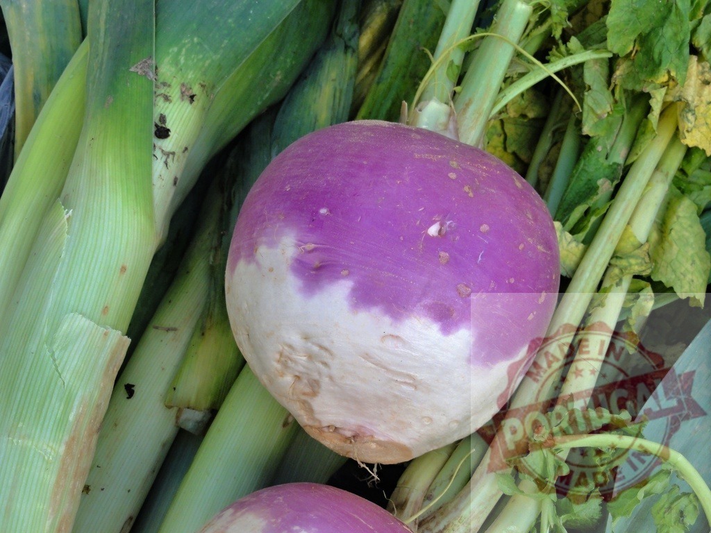 Fresh turnip and leeks showing healthy organic produce | Purple and white turnip resting among green leeks in a close-up view - Realized with Pictrs.com