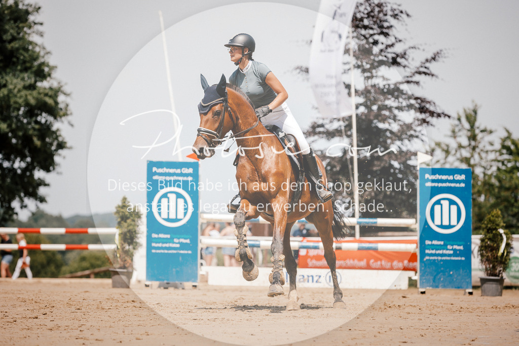 3I6A8017 | Stimmungsvolle Portraits und Reitsportfotografie im Ruhrgebiet und im Münsterland.

Pferdefotografie, Hundefotografie, Tierfotografie, Reportagen, Portraits von Tier und Mensch, Turnierfotografie in Bochum, Recklinghausen, Marl, Haltern am See, Dülmen.. - Realisiert mit Pictrs.com