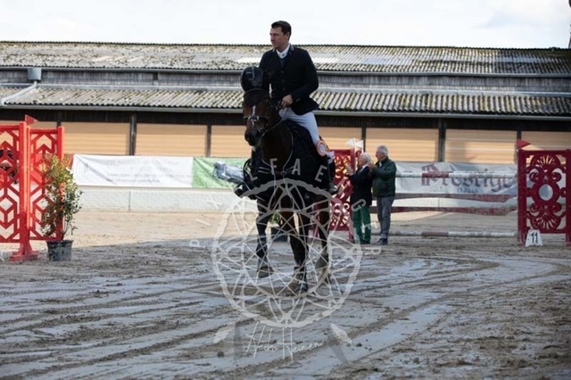 2B4A3883 | pixelfaenger - Realisiert mit Pictrs.com