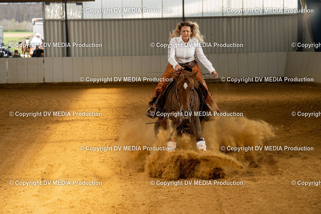 MIT00318 | dv-media-shop - Realisiert mit Pictrs.com