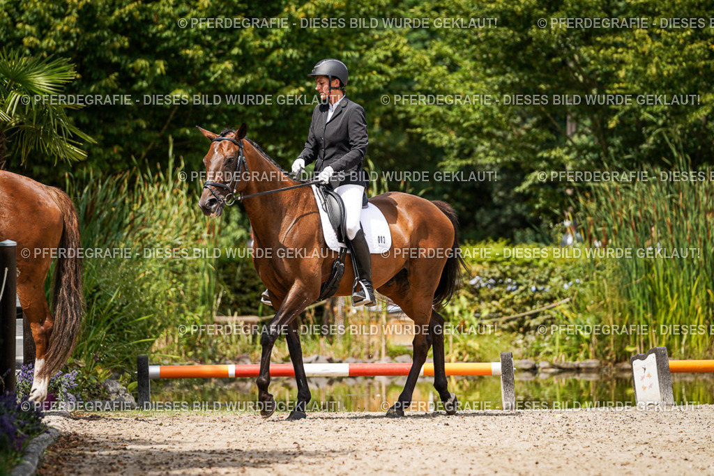 DSC02215 | Pferdegrafie