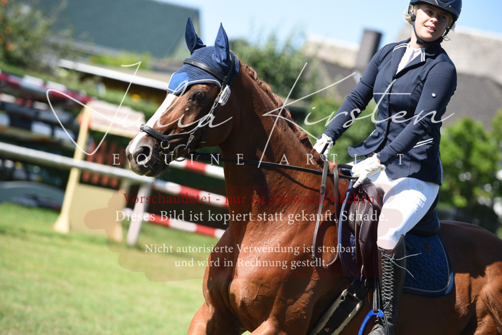 DSC_9284 | Pferde- und Turnierfotografie in Westsachsen. Pferdeportraits, Auftragszeichnungen und intuitive Kunst.