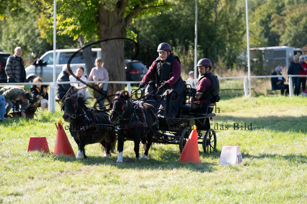 A7V04412 | Pferdefotograf