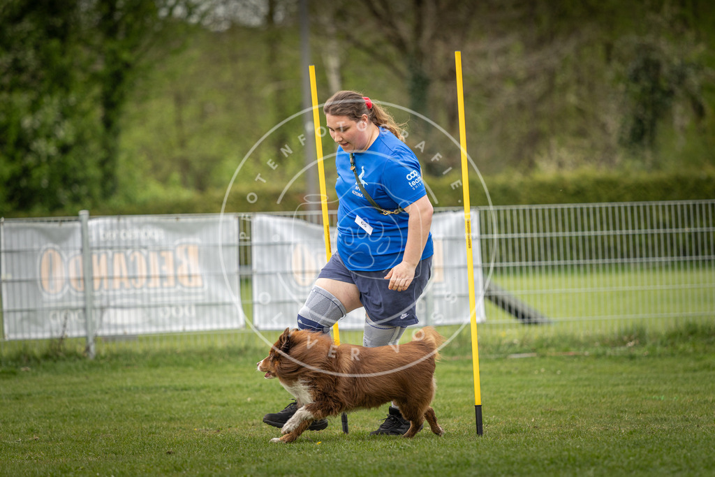 Pfotenfotografie_DV3A1944 | Hundefotografie, Tierfotograf, Pfotenfotografie, Fotoshooting Hund, Hunde Portrait, Hundesport, Hundeportraits, Heideshooting, Hunde, Sportfotograf, Hundefotograf, Turnierhundsport, THS,  - Realisiert mit Pictrs.com