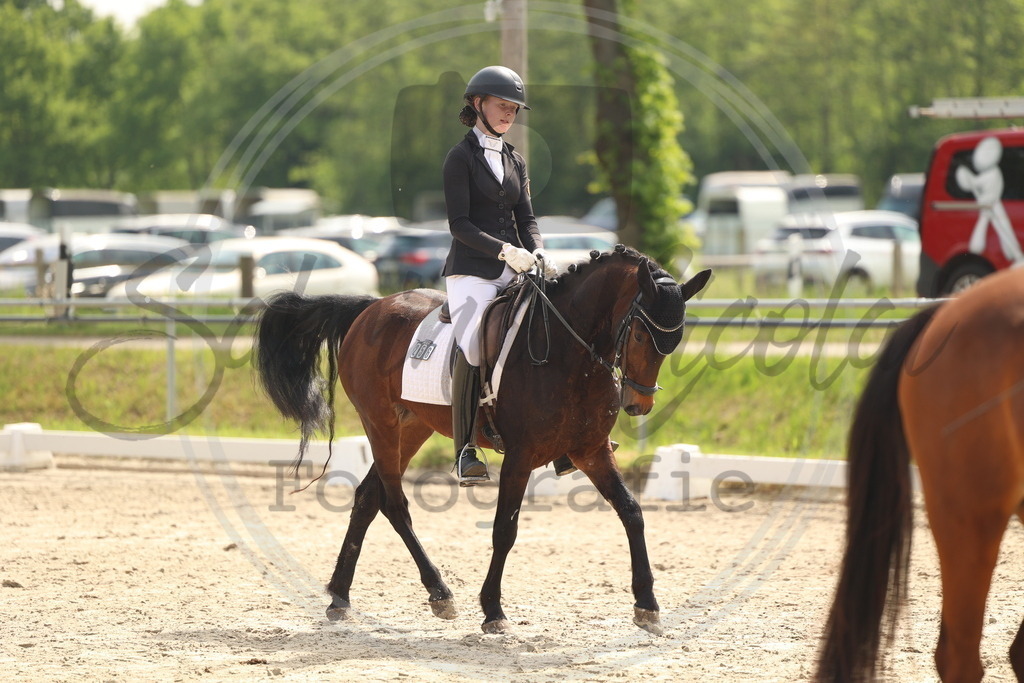 994A6841 | sabrinanicolaifotografie - Realisiert mit Pictrs.com