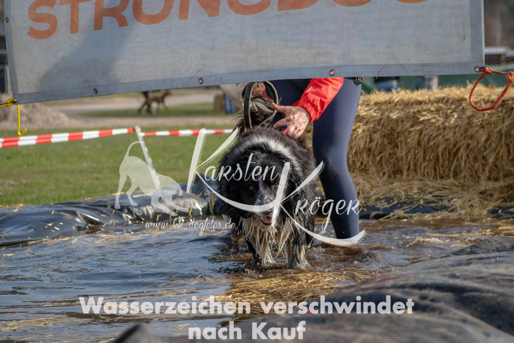 _ZZ90988 | kk-dogfotos