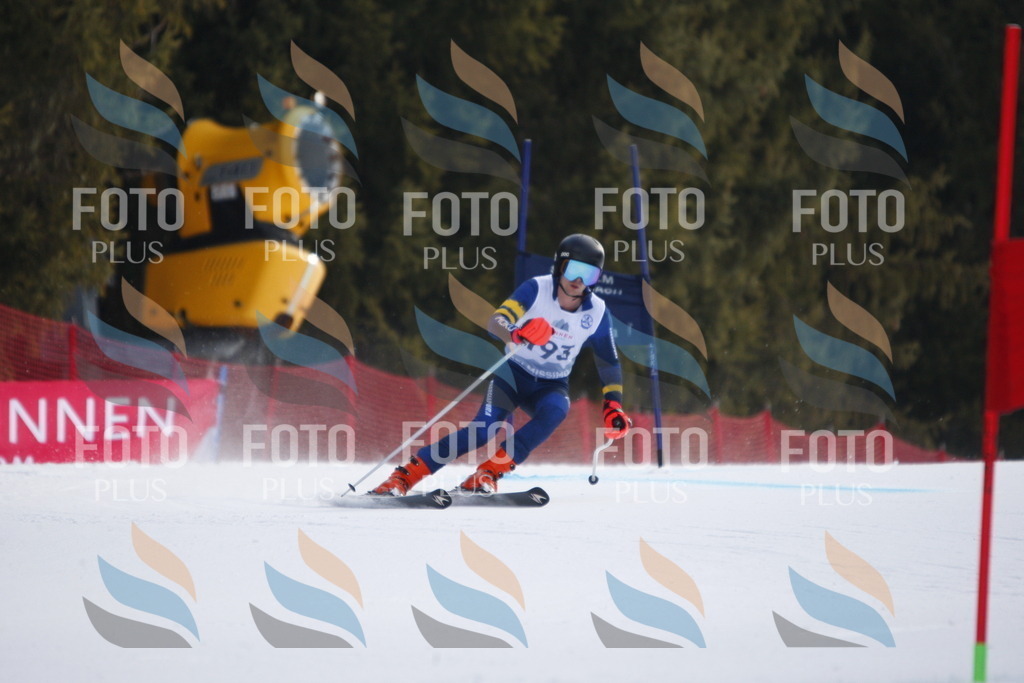 D7914 | holidayphoto