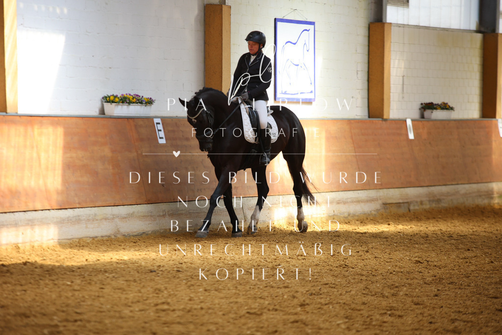 IMGT4247 | pl-fotografie