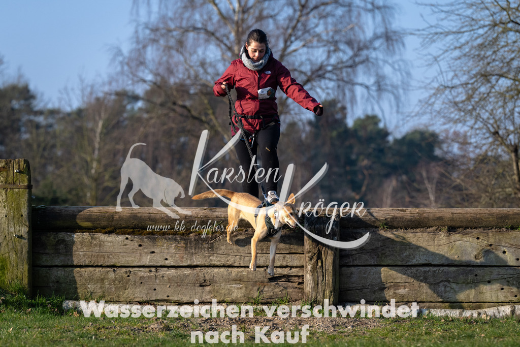 _ZZ92273 | kk-dogfotos