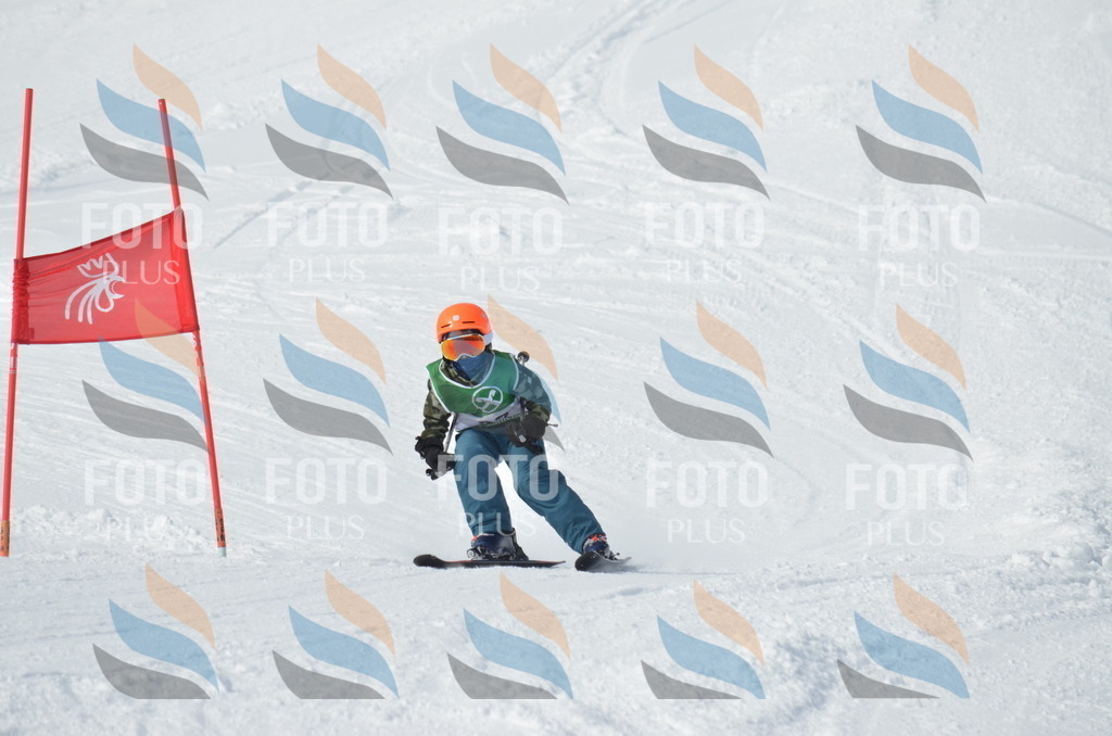 D8618 | holidayphoto