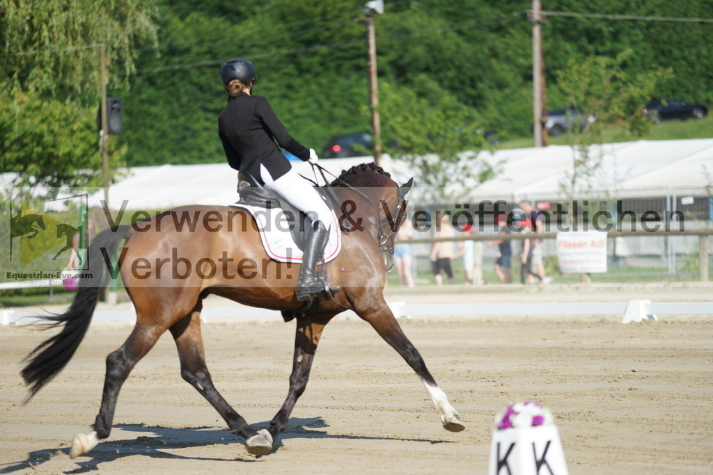 DSC03958 | equestrian-live-com