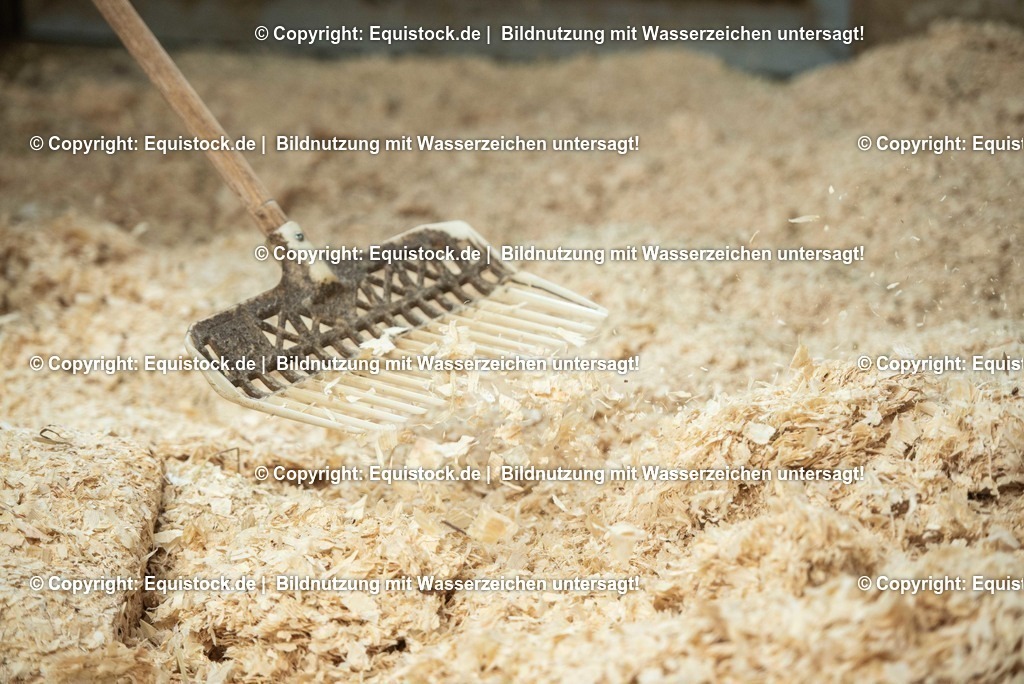 20190409_Einstreu_in_Pferdebox_0037 | Foto: Thomas Hartig