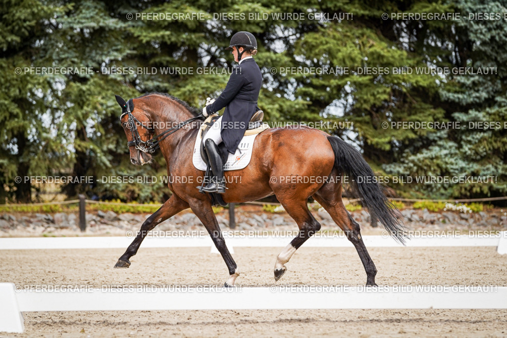 DSC06621 | Pferdegrafie