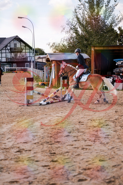 2026_10_03_Siefer-Hof_145517_Z81_35865663 | Professionelle Reitsport-, Turnier- und Eventfotografie von Robert Broda. Galerien mit ausgewählten und bearbeiteten Bildern direkt online ansehen und bestellen.