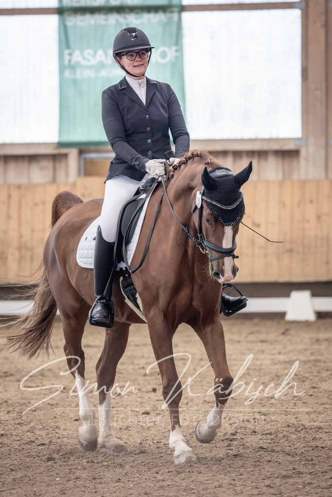20251011-_3LI0379 | Tierfotografie Pferde, Hunde, Katzen, Haustiere.
Turnierfotografie Reitturniere, Reiten, Springreiten, Dressur in Hanau, dem Main-Kinzig-Kreis und dem Rhein-Main- Gebiet um Frankfurt