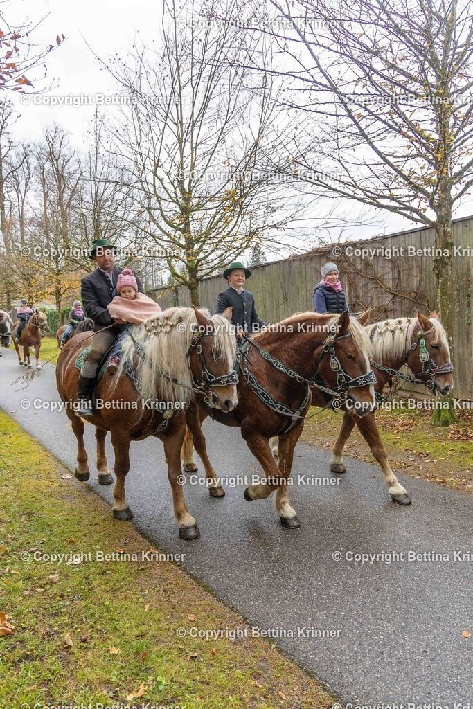 LL25-242 | foto-bettina-krinner - Realisiert mit Pictrs.com