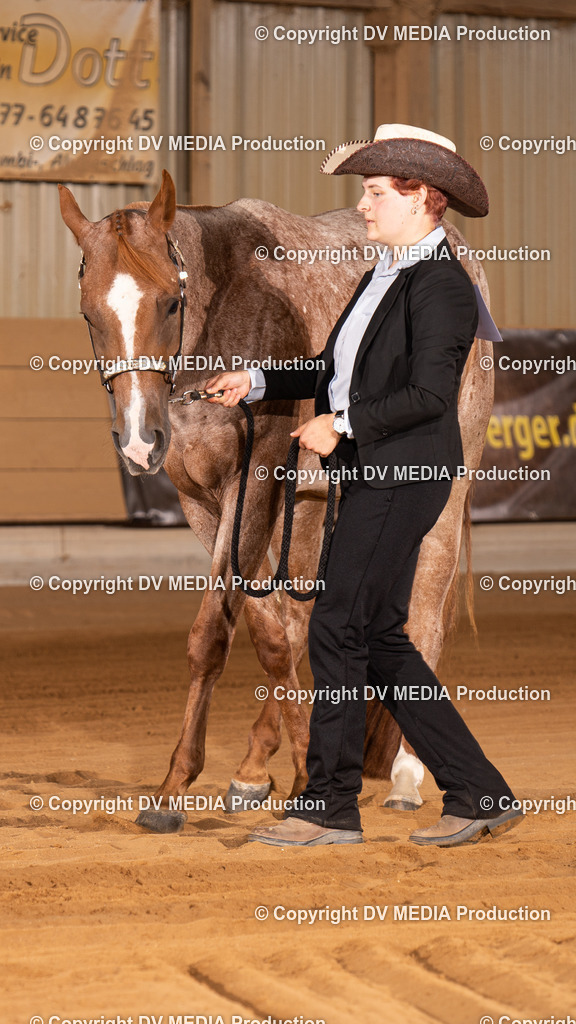 NID00024 | dv-media-shop - Realisiert mit Pictrs.com