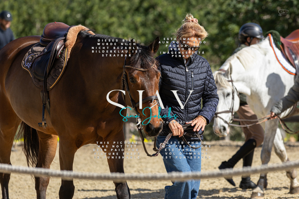 IMG_6612 | s-jay-photography - Realisiert mit Pictrs.com