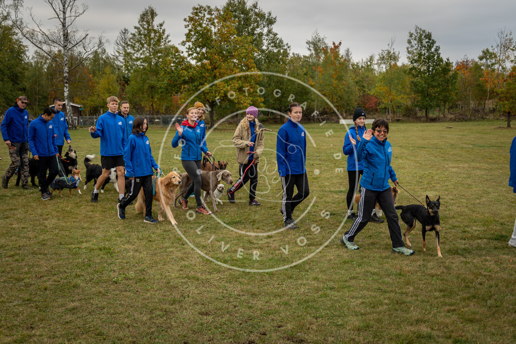 Pfotenfotografie_0L8A0282 | Hundefotografie, Tierfotograf, Pfotenfotografie, Fotoshooting Hund, Hunde Portrait, Hundesport, Hundeportraits, Heideshooting, Hunde, Sportfotograf, Hundefotograf, Turnierhundsport, THS,  - Realisiert mit Pictrs.com