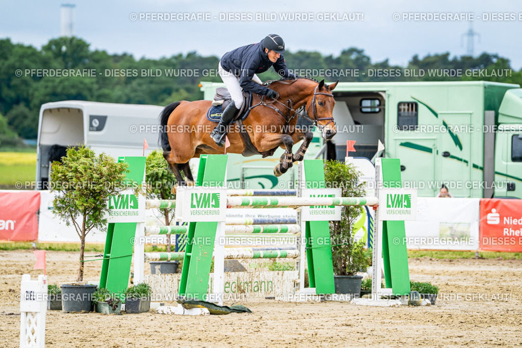 DSC04187 | Pferdegrafie