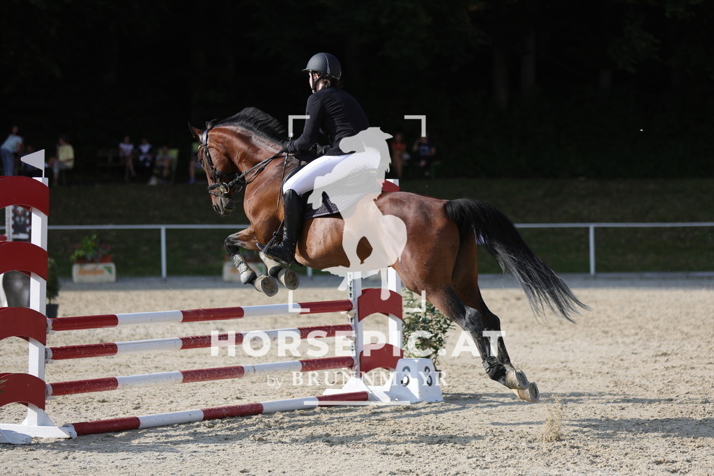 0P6A6365 | Willkommen bei Brunnmayr - Design & Fotografie – Ihrem Spezialisten für Reitturniere und Pferdeveranstaltungen in Oberösterreich, Salzburg und Bayern! Seit über 17 Jahren sind wir leidenschaftlich dabei.