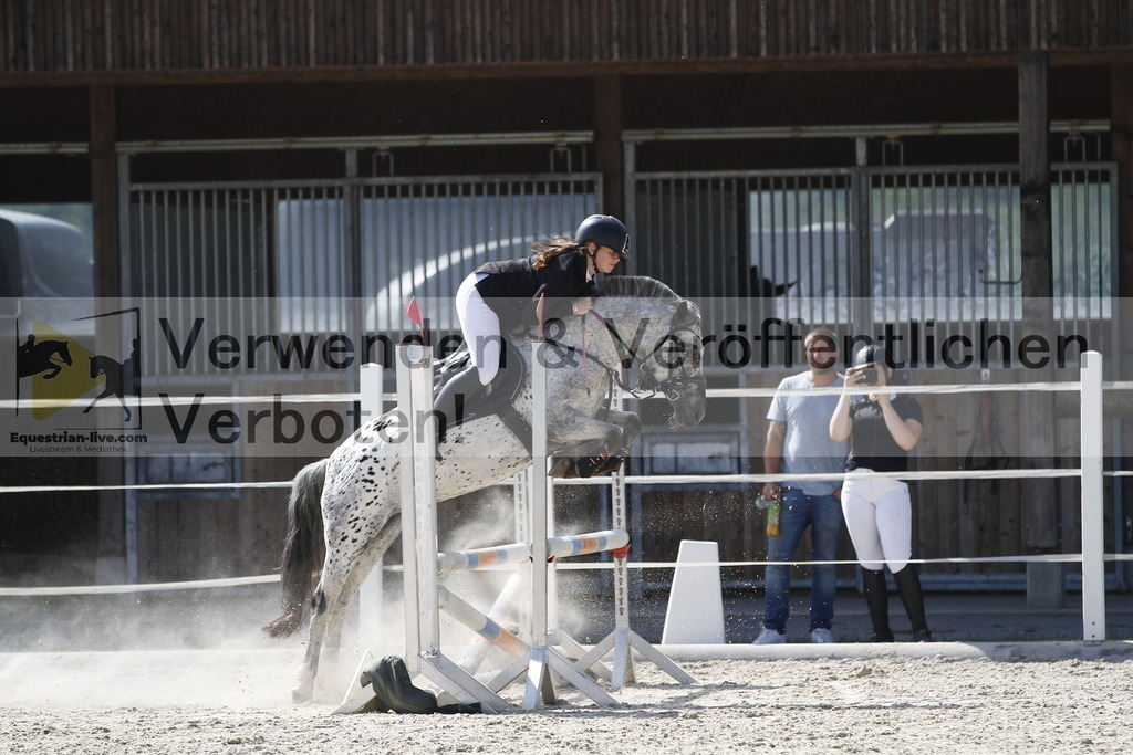 _MG_3460 | equestrian-live-com