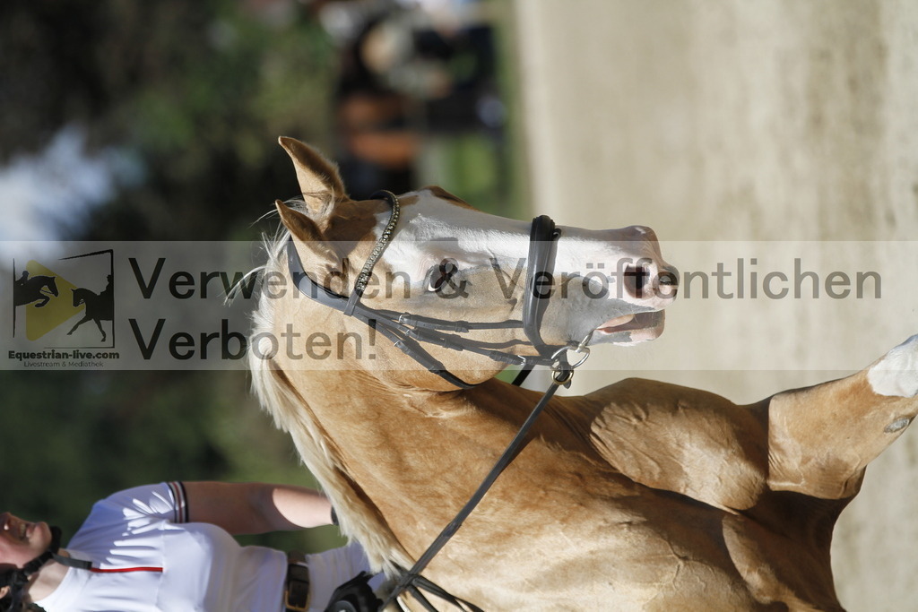 _MG_5196 | equestrian-live-com