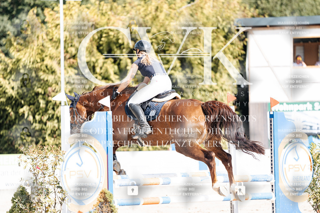 CK909118 | Turnierfotografie Pferdefotografie Trier Rheinland-Pfalz Pferdesport Reitsport Tierfotografie Sportfotografie Pferdevideo Pferdevideografie Equestrianvideography equestrianphotography  - Realisiert mit Pictrs.com