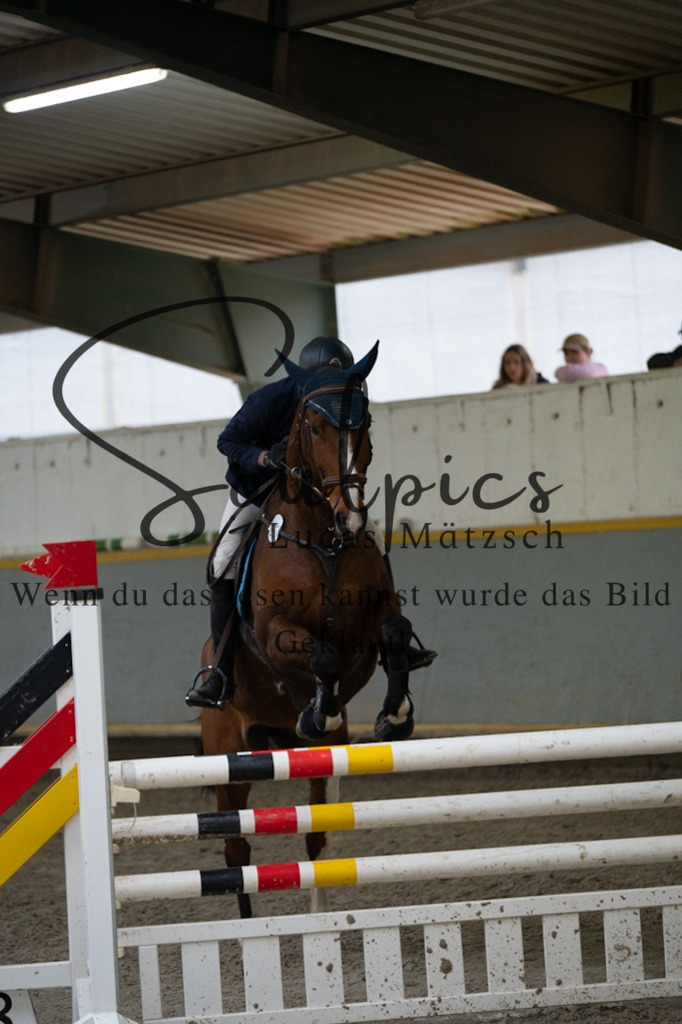 A7V08727 | Pferdefotograf