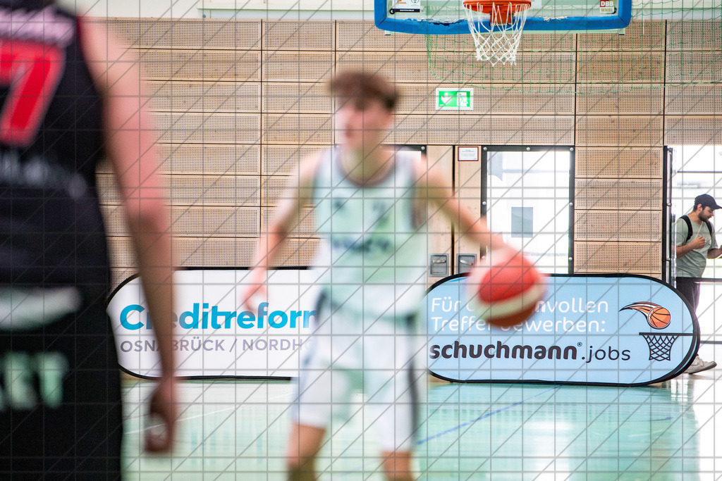 @Martin König_20240622__DSC1866 | bullenfotos|de - Realisiert mit Pictrs.com