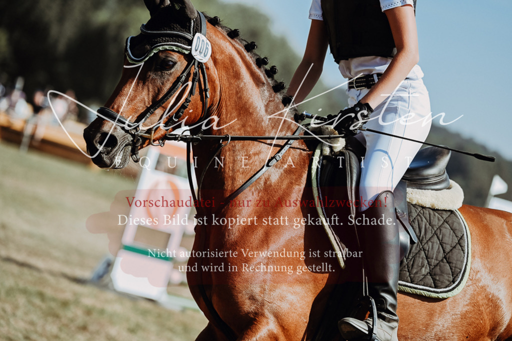 DSC_9415 | Pferde- und Turnierfotografie in Westsachsen. Pferdeportraits, Auftragszeichnungen und intuitive Kunst.