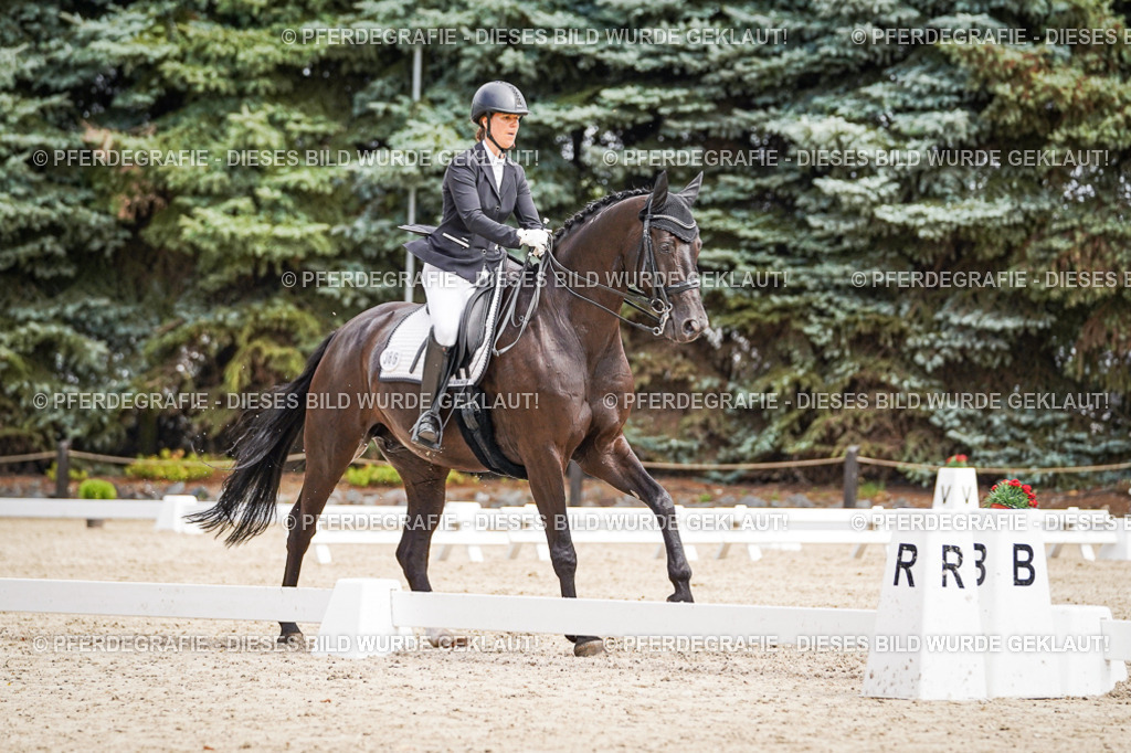 DSC03006 | Pferdegrafie