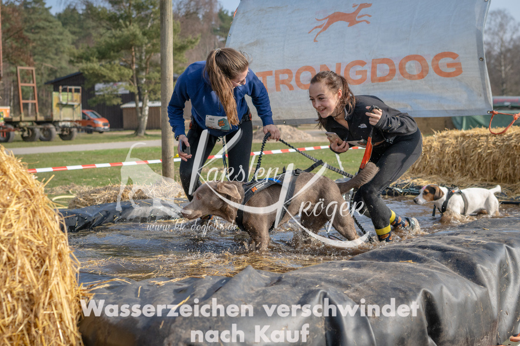 _ZZ92285 | kk-dogfotos
