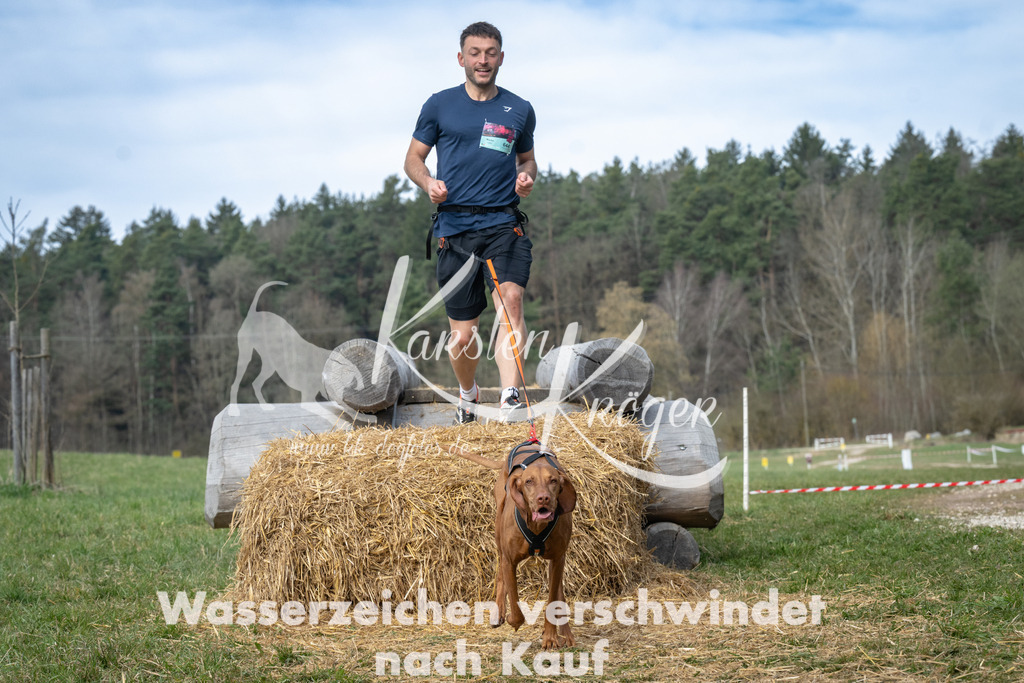 1041_ZZ93616 | kk-dogfotos