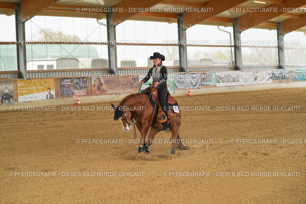 DSC07254 | Pferdegrafie