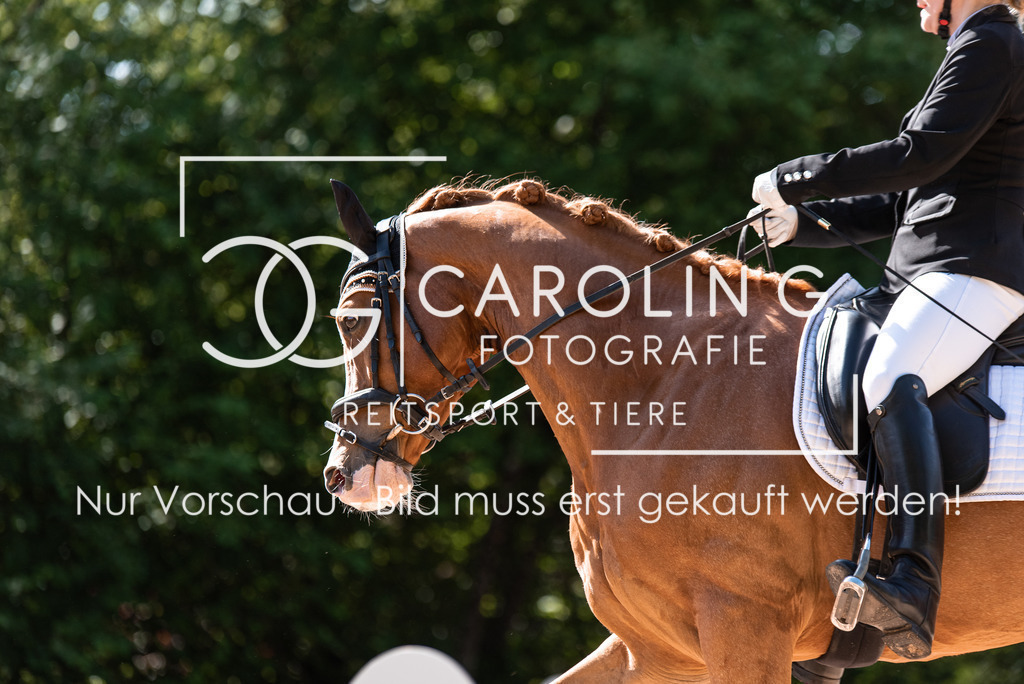 DSC_9117 | Turnierfotografin Carolin Gieschke, Turnierfotografie Carolin G Fotografie, Turnierfotos Kirchheim/Teck, Esslingen, Stuttgart, Bodenseekreis