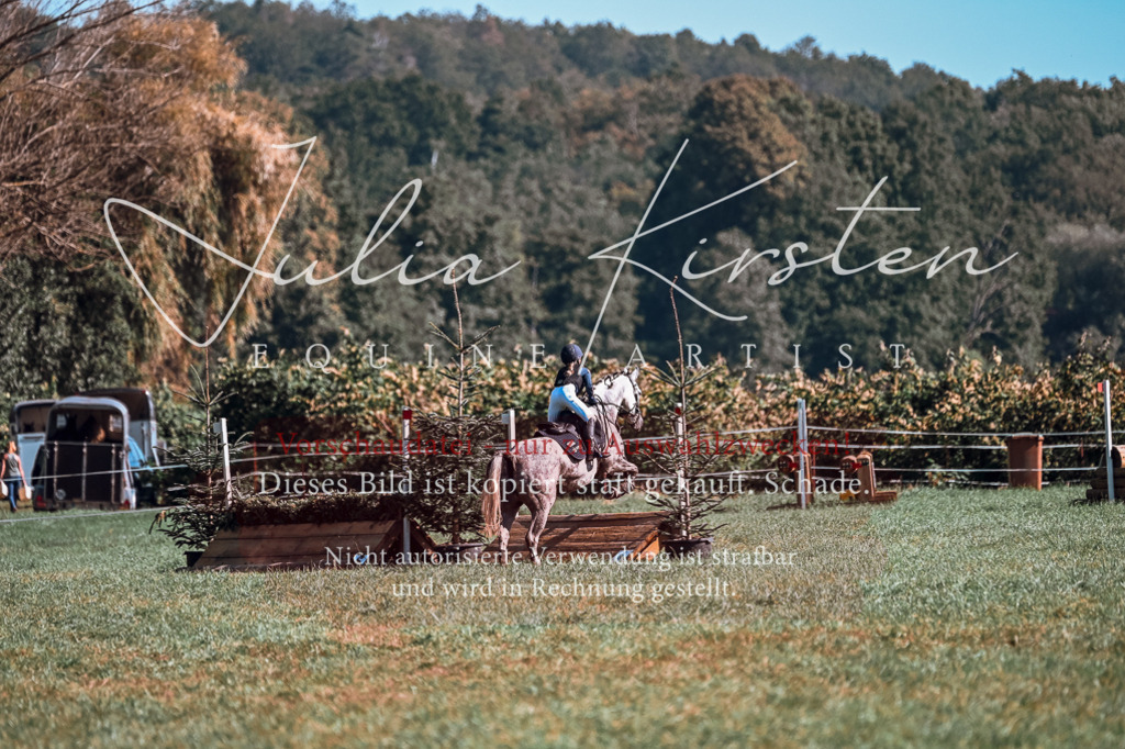 DSC_1158 | Pferde- und Turnierfotografie in Westsachsen. Pferdeportraits, Auftragszeichnungen und intuitive Kunst.