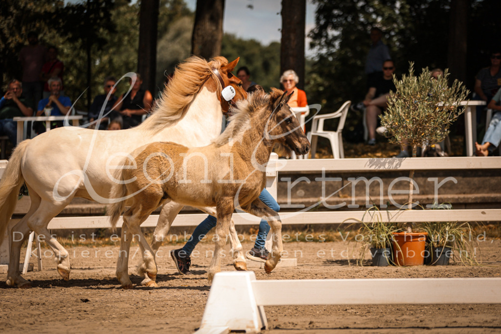 02.DoSR00008 | Leoni Ertmer Photography - Realisiert mit Pictrs.com