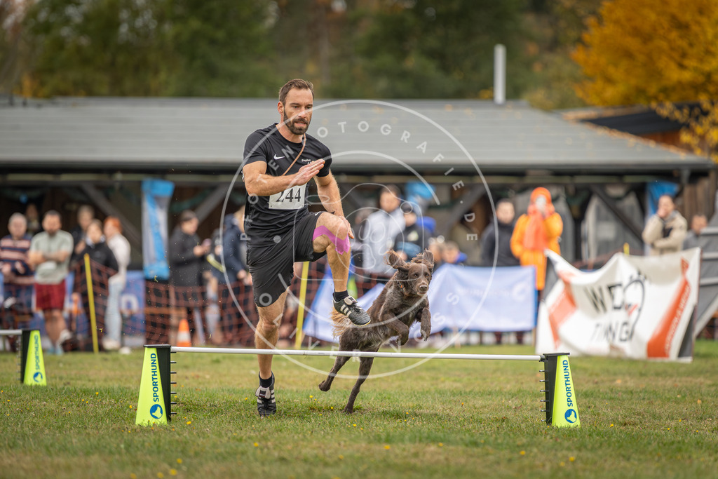 Pfotenfotografie_DV3A5084 | Hundefotografie, Tierfotograf, Pfotenfotografie, Fotoshooting Hund, Hunde Portrait, Hundesport, Hundeportraits, Heideshooting, Hunde, Sportfotograf, Hundefotograf, Turnierhundsport, THS,  - Realisiert mit Pictrs.com