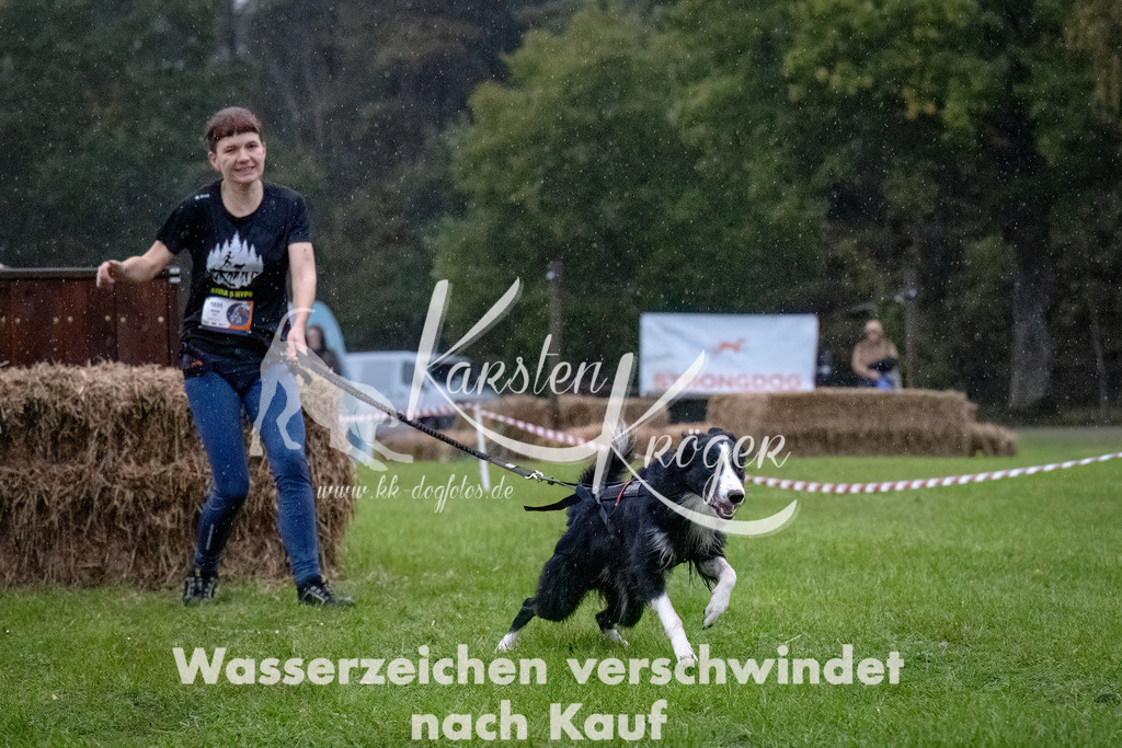 0827-_ZZ91317-Bearbeitet | kk-dogfotos