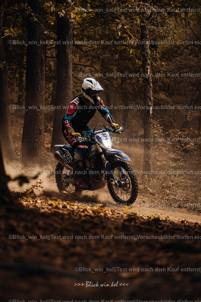 E68A7821 | blick_win_kel