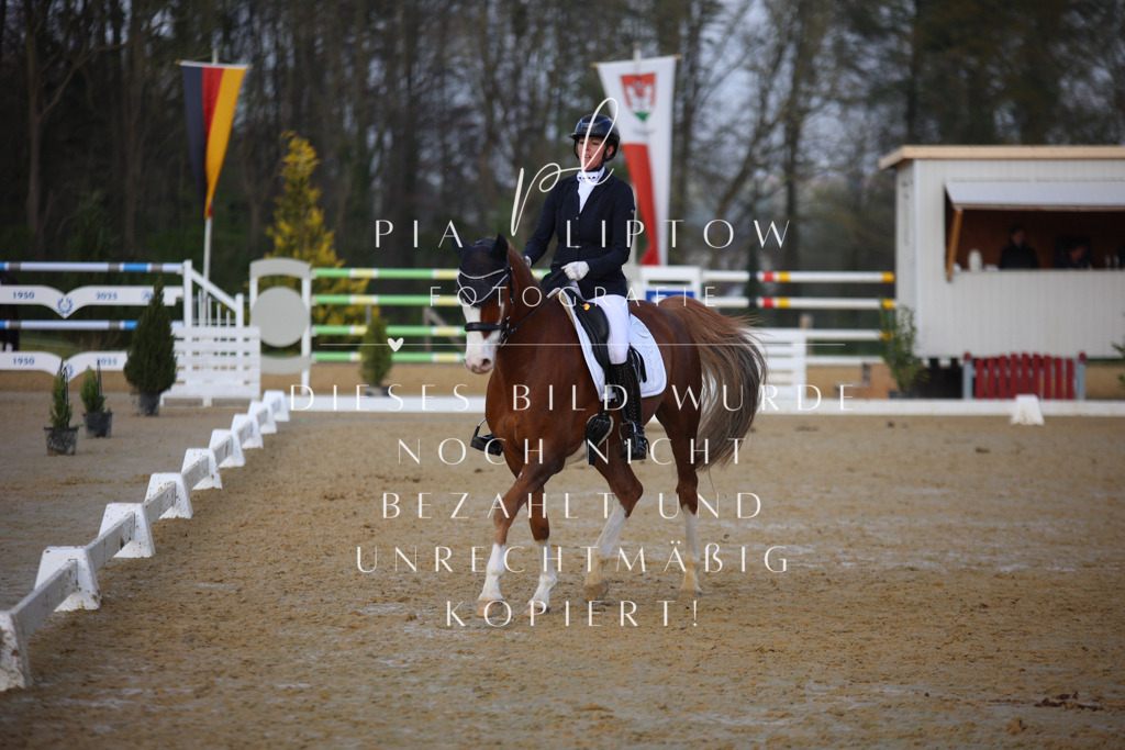 IMGT8453 | pl-fotografie