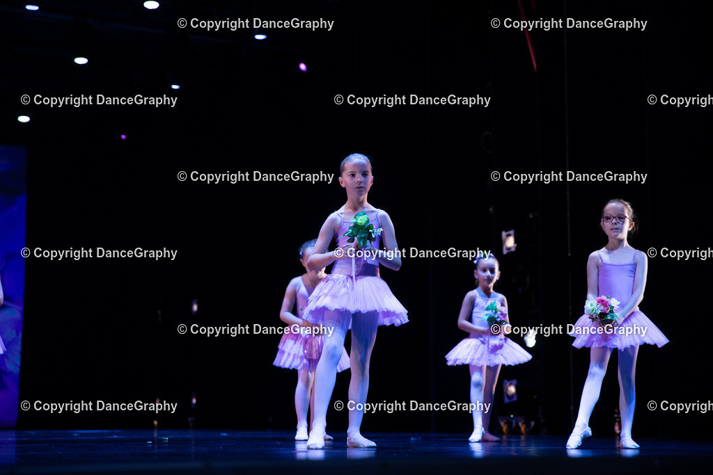 GPHY4893 | DanceGraphy - Realisiert mit Pictrs.com