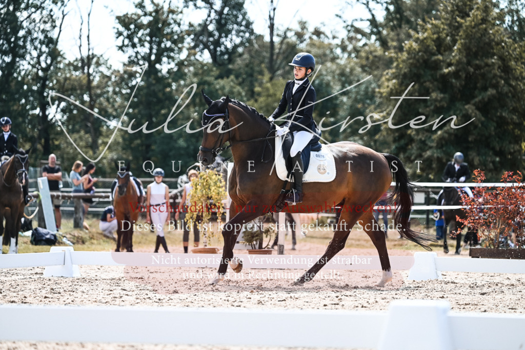 DSC_5783 | Pferde- und Turnierfotografie in Westsachsen. Pferdeportraits, Auftragszeichnungen und intuitive Kunst.