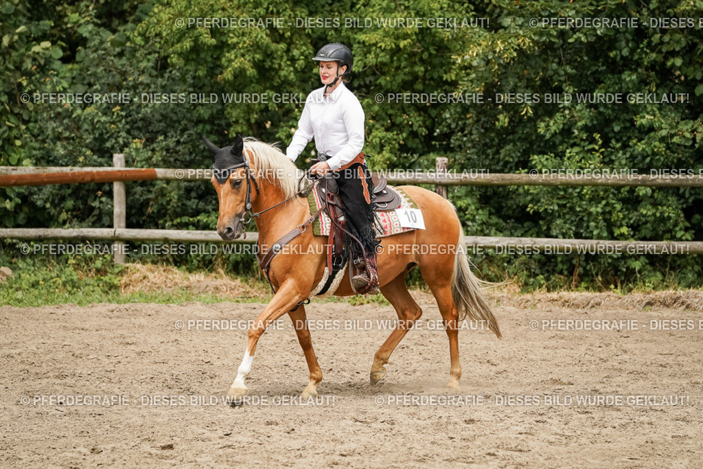 DSC00246 | Pferdegrafie