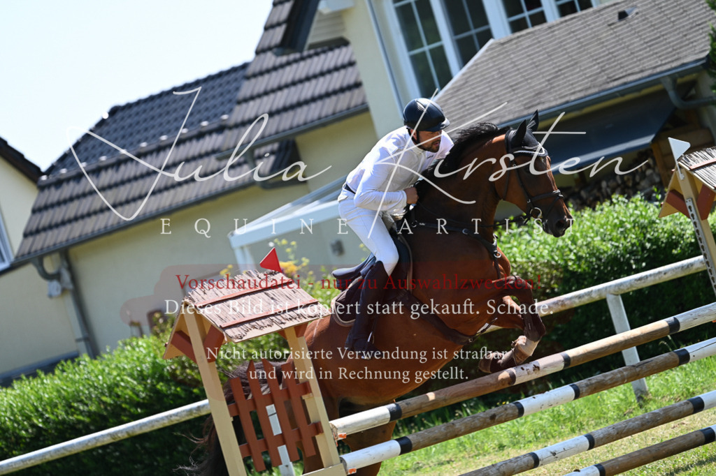 DSC_0607 | Pferde- und Turnierfotografie in Westsachsen. Pferdeportraits, Auftragszeichnungen und intuitive Kunst.