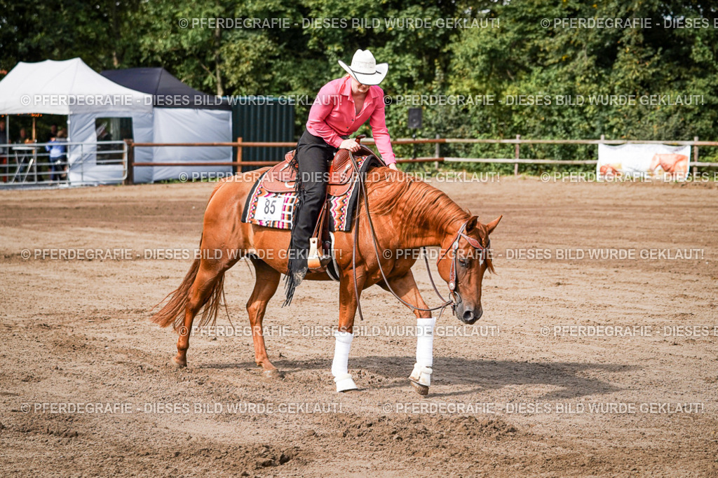 DSC09496 | Pferdegrafie